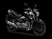 2013 Suzuki GW250 photo